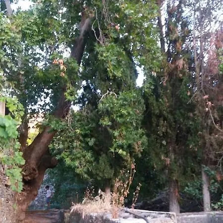 Niki's Village بيت للعطل *